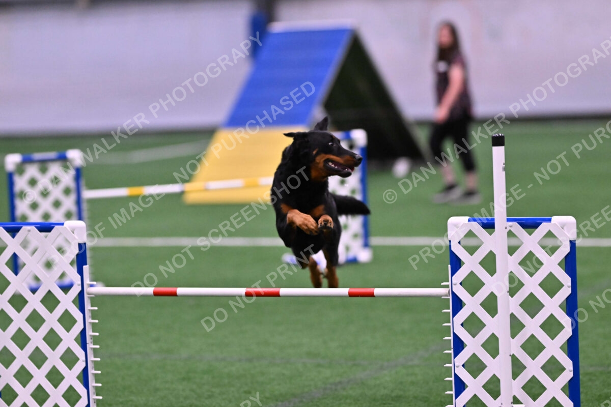 Sirsee-Janice-Bourell-Casey-05587