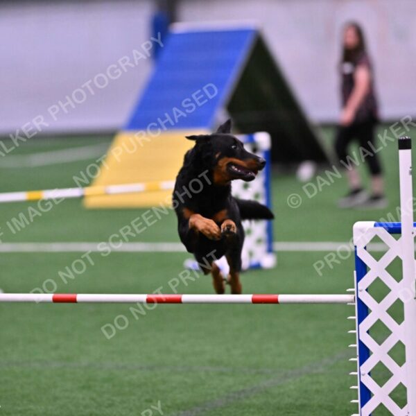 Sirsee-Janice-Bourell-Casey-05587