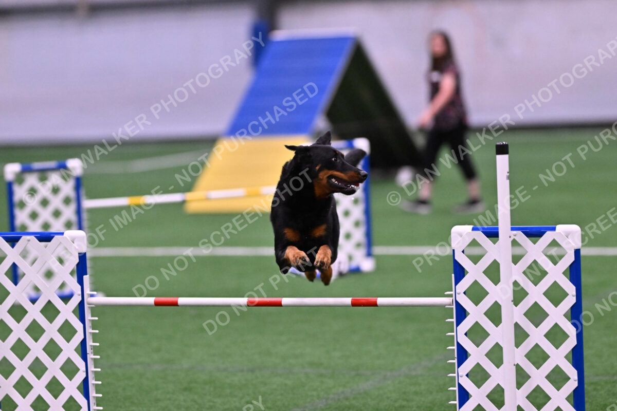 Sirsee-Janice-Bourell-Casey-05588