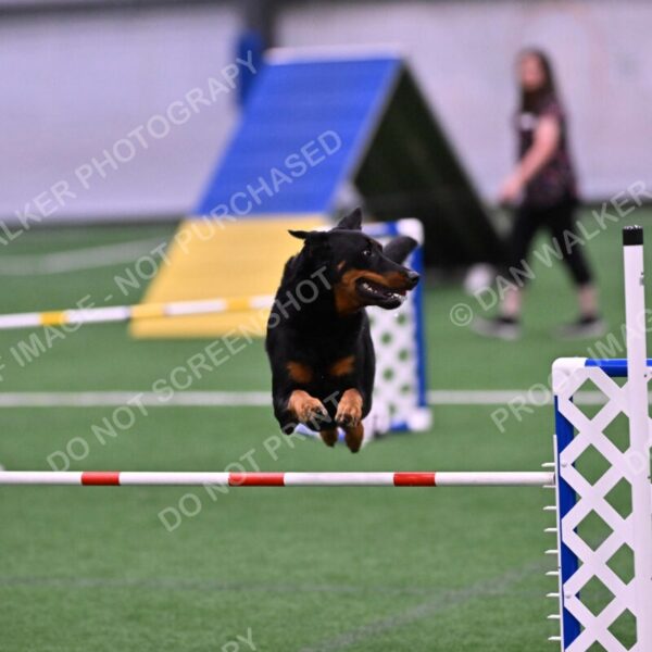 Sirsee-Janice-Bourell-Casey-05588