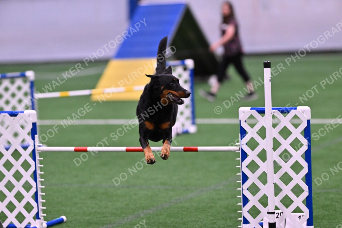 Sirsee-Janice-Bourell-Casey-05589