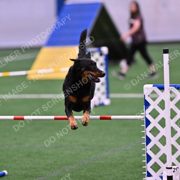 Sirsee-Janice-Bourell-Casey-05589