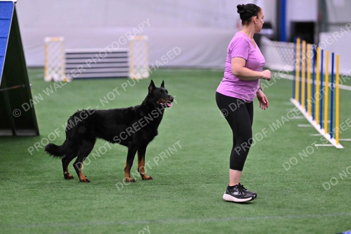 Sirsee-Janice-Bourell-Casey-05592