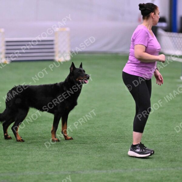 Sirsee-Janice-Bourell-Casey-05592