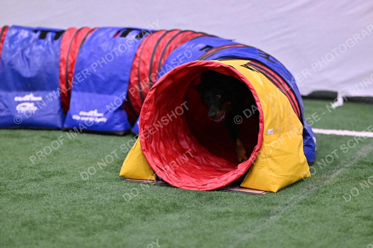 Sirsee-Janice-Bourell-Casey-05596