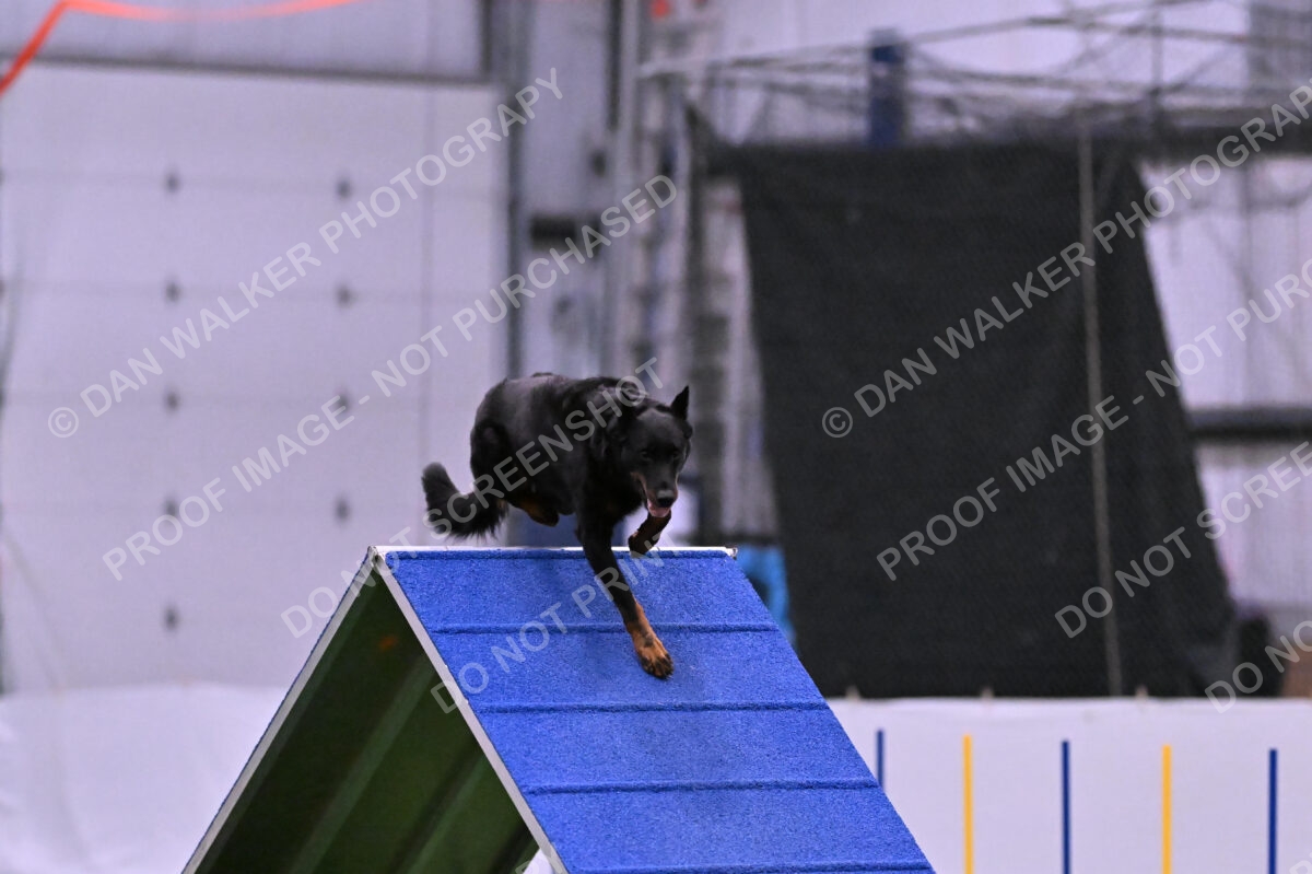 Sirsee-Janice-Bourell-Casey-05603