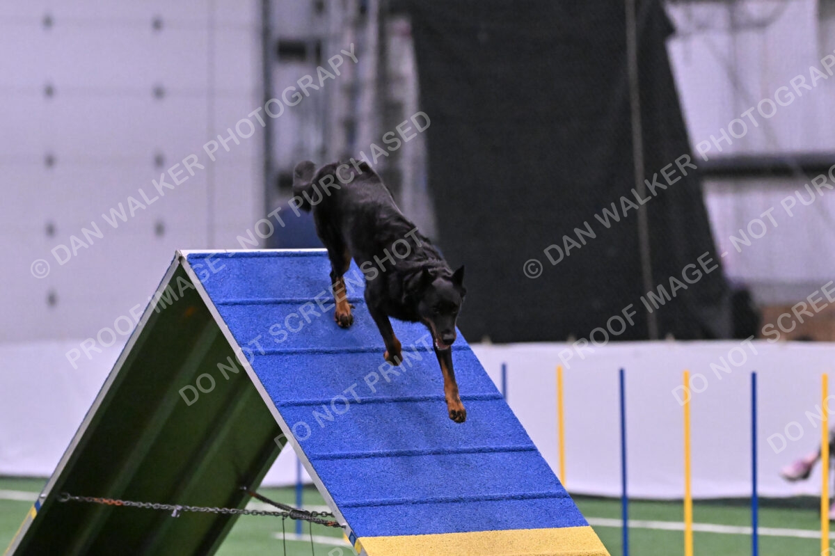 Sirsee-Janice-Bourell-Casey-05604