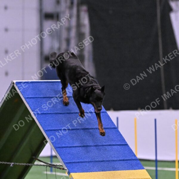 Sirsee-Janice-Bourell-Casey-05604