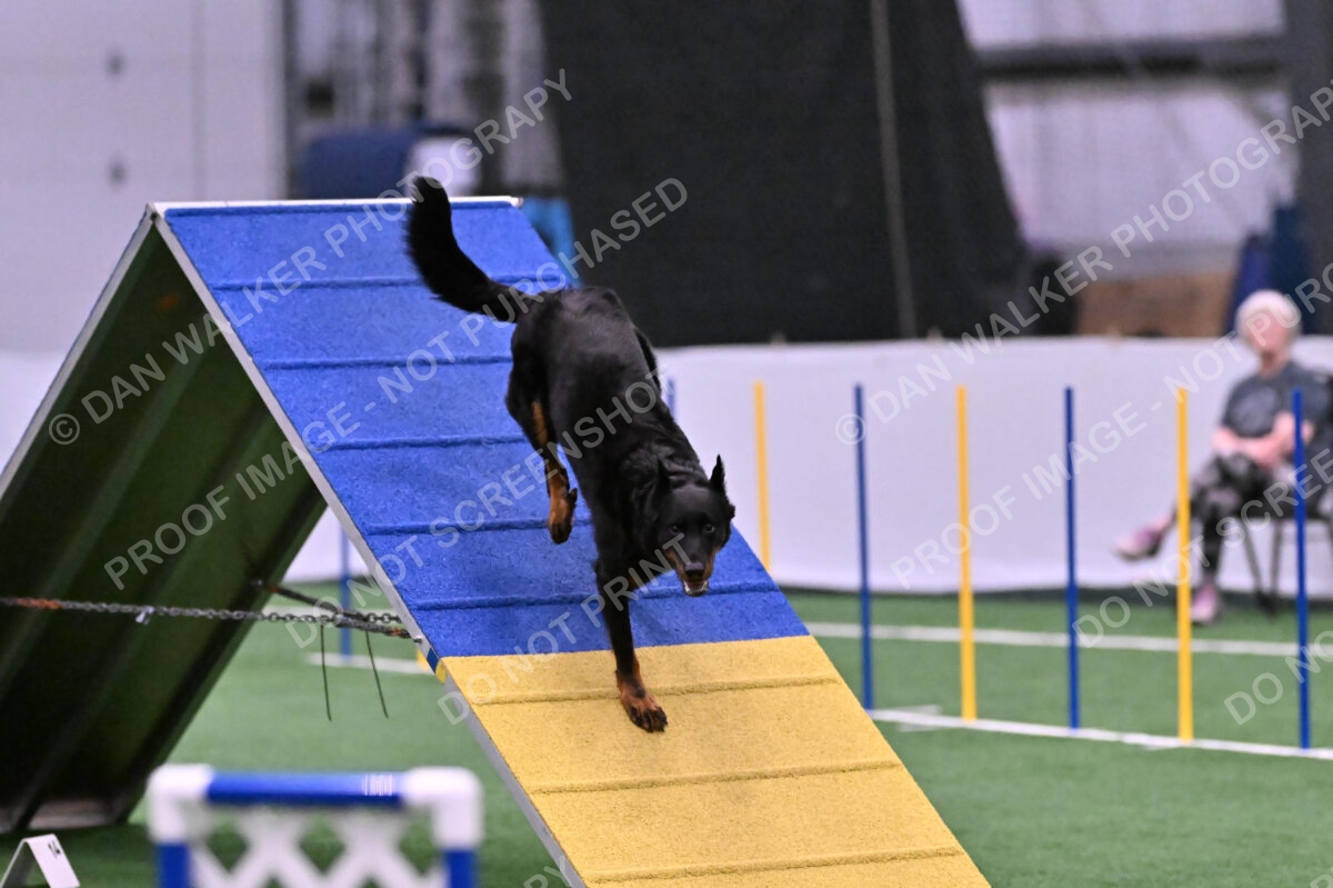 Sirsee-Janice-Bourell-Casey-05606