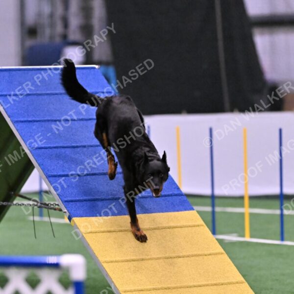 Sirsee-Janice-Bourell-Casey-05606