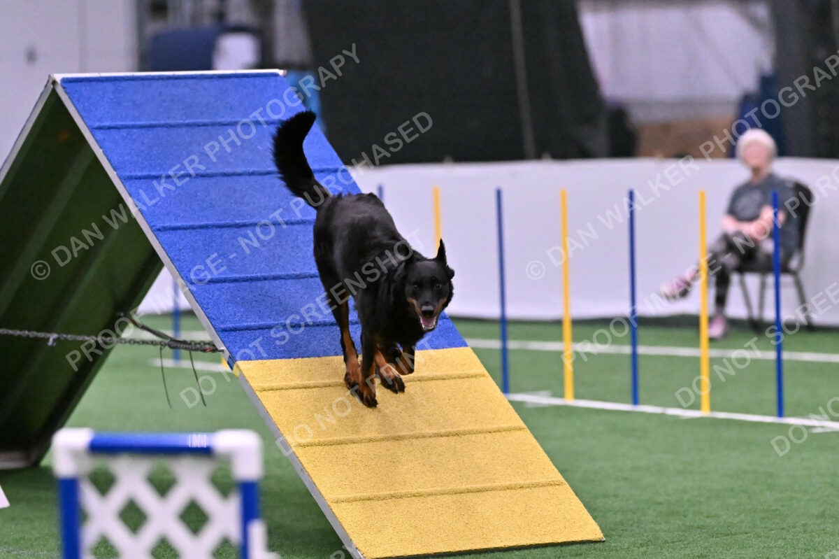 Sirsee-Janice-Bourell-Casey-05607