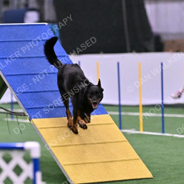 Sirsee-Janice-Bourell-Casey-05607