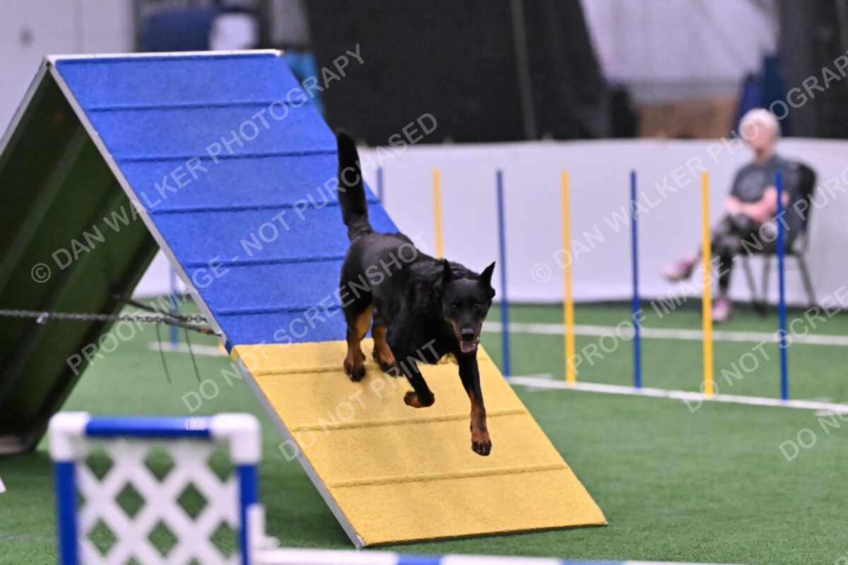 Sirsee-Janice-Bourell-Casey-05608