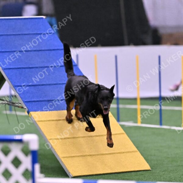 Sirsee-Janice-Bourell-Casey-05608