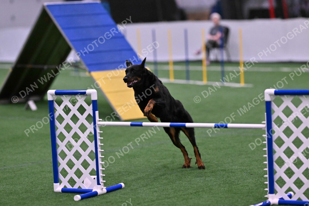 Sirsee-Janice-Bourell-Casey-05612