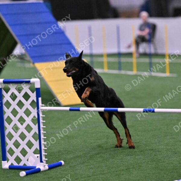 Sirsee-Janice-Bourell-Casey-05612