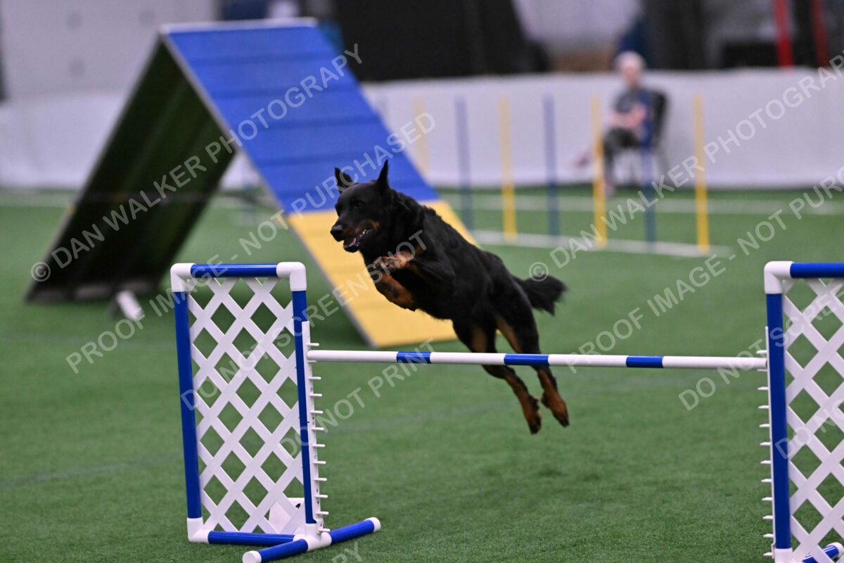 Sirsee-Janice-Bourell-Casey-05613