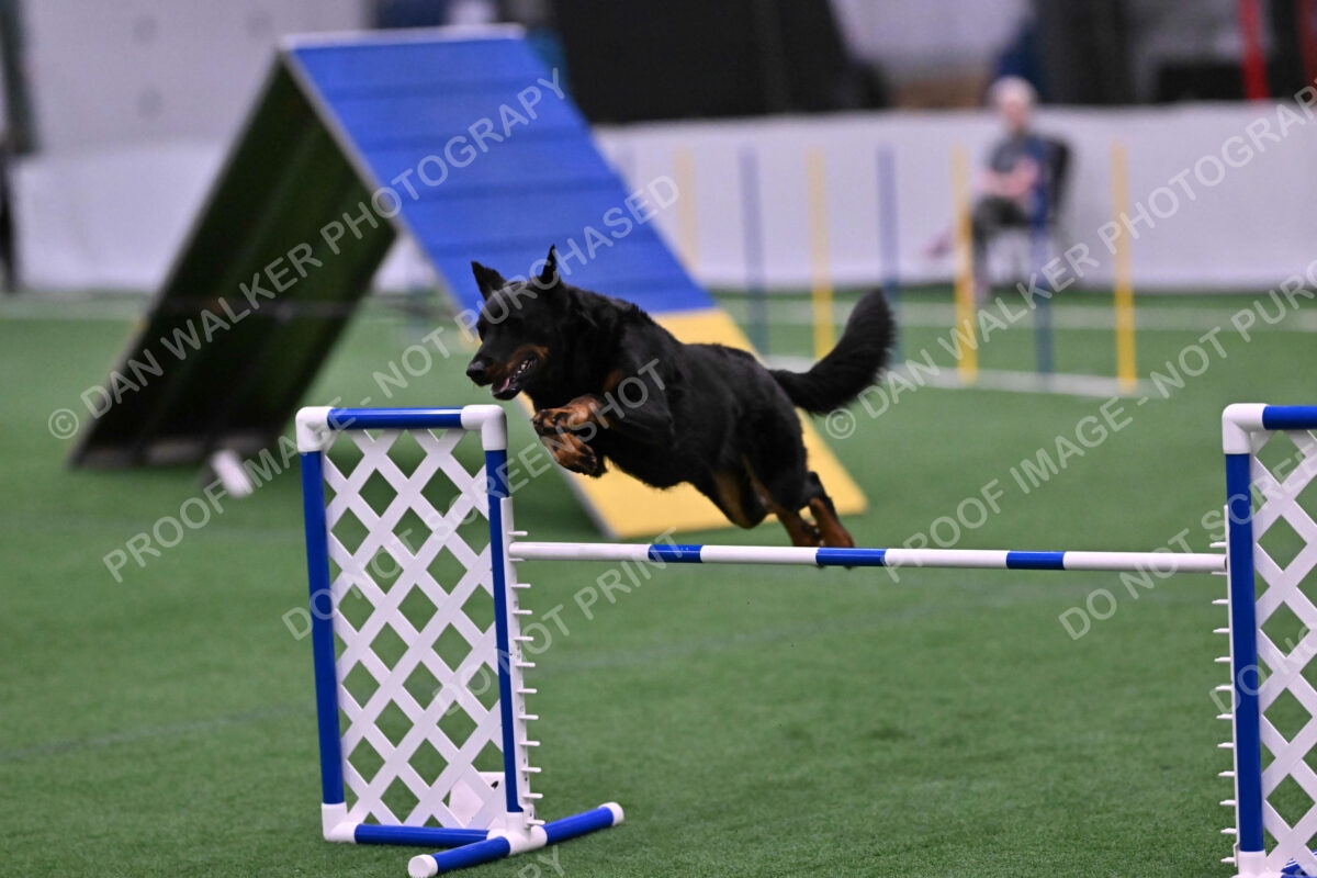 Sirsee-Janice-Bourell-Casey-05614