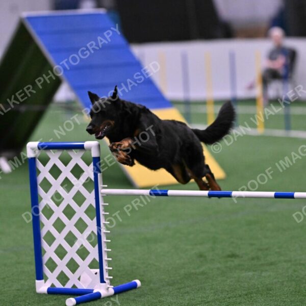 Sirsee-Janice-Bourell-Casey-05614