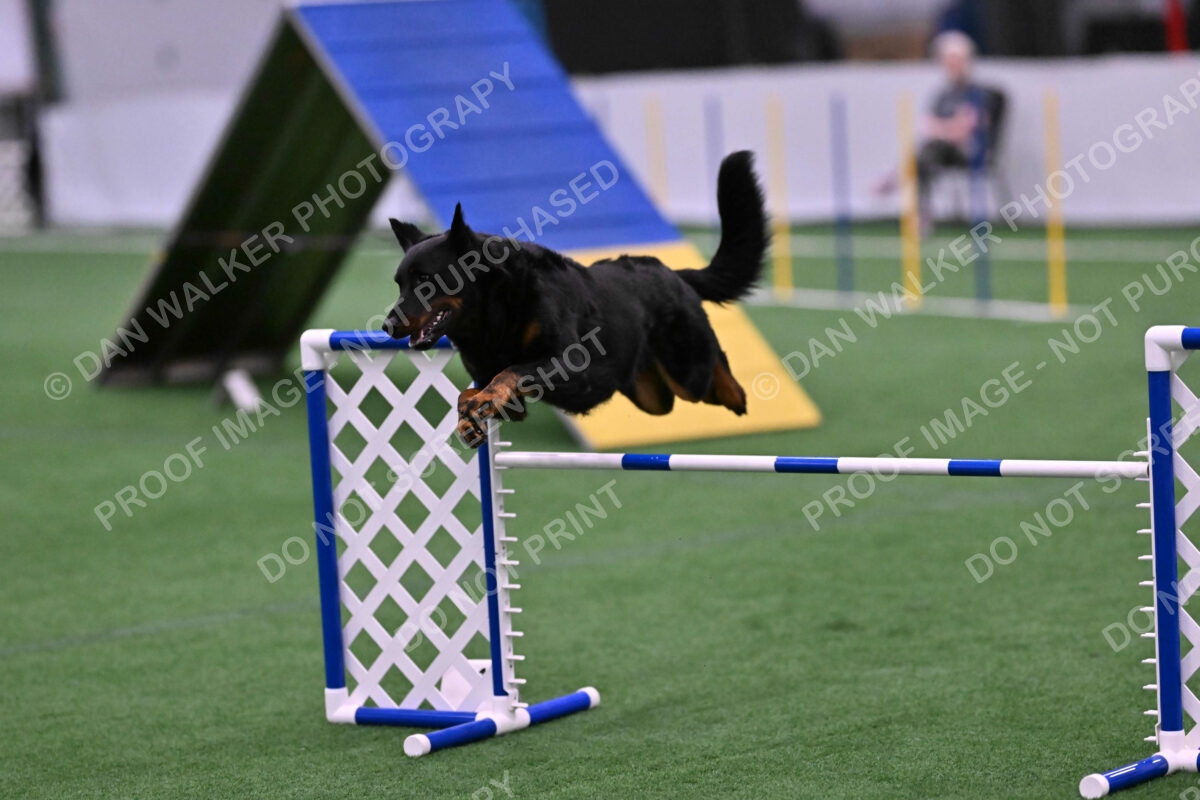 Sirsee-Janice-Bourell-Casey-05615