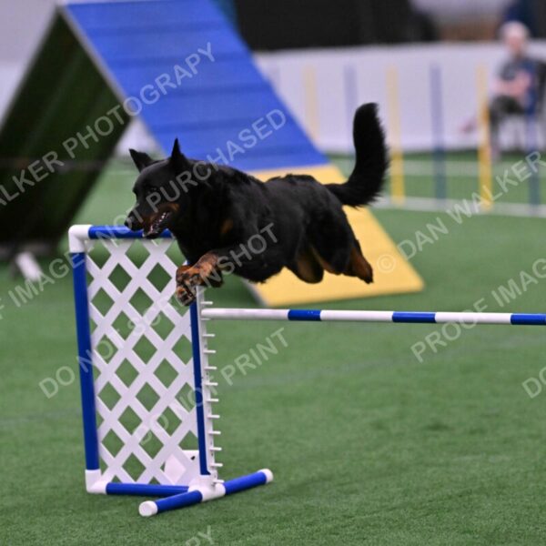 Sirsee-Janice-Bourell-Casey-05615