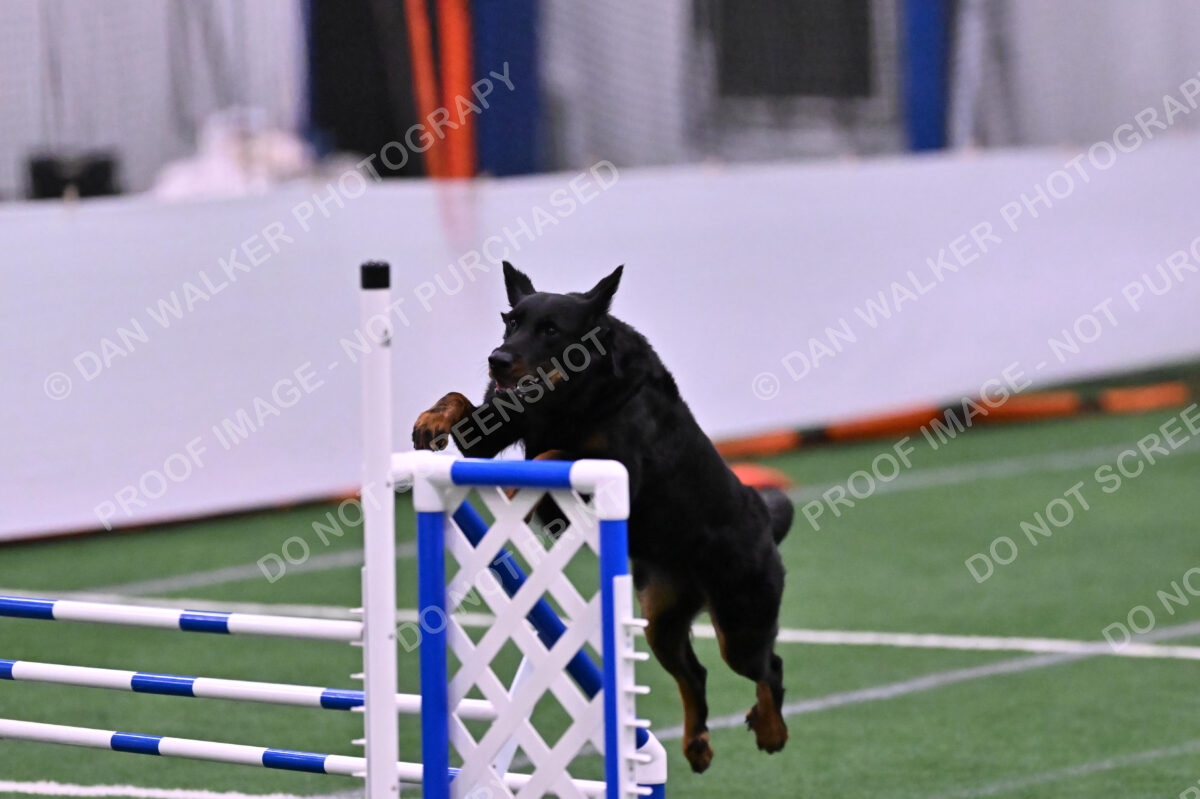 Sirsee-Janice-Bourell-Casey-05619