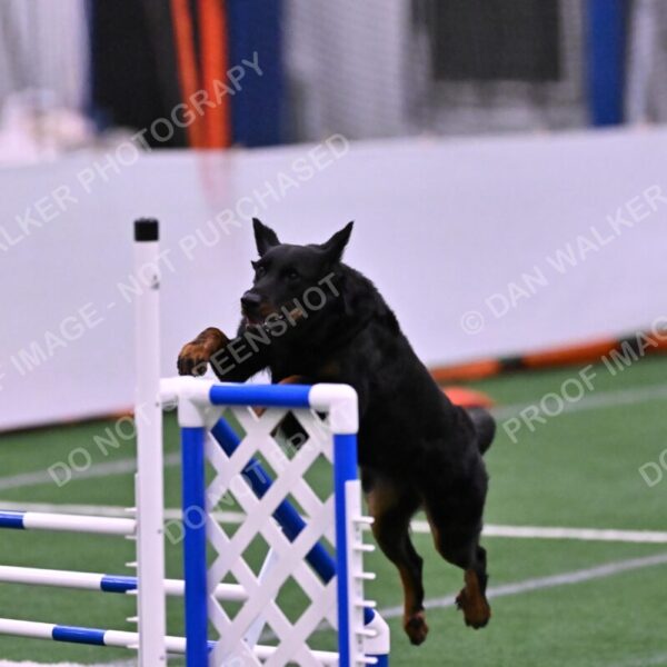 Sirsee-Janice-Bourell-Casey-05619