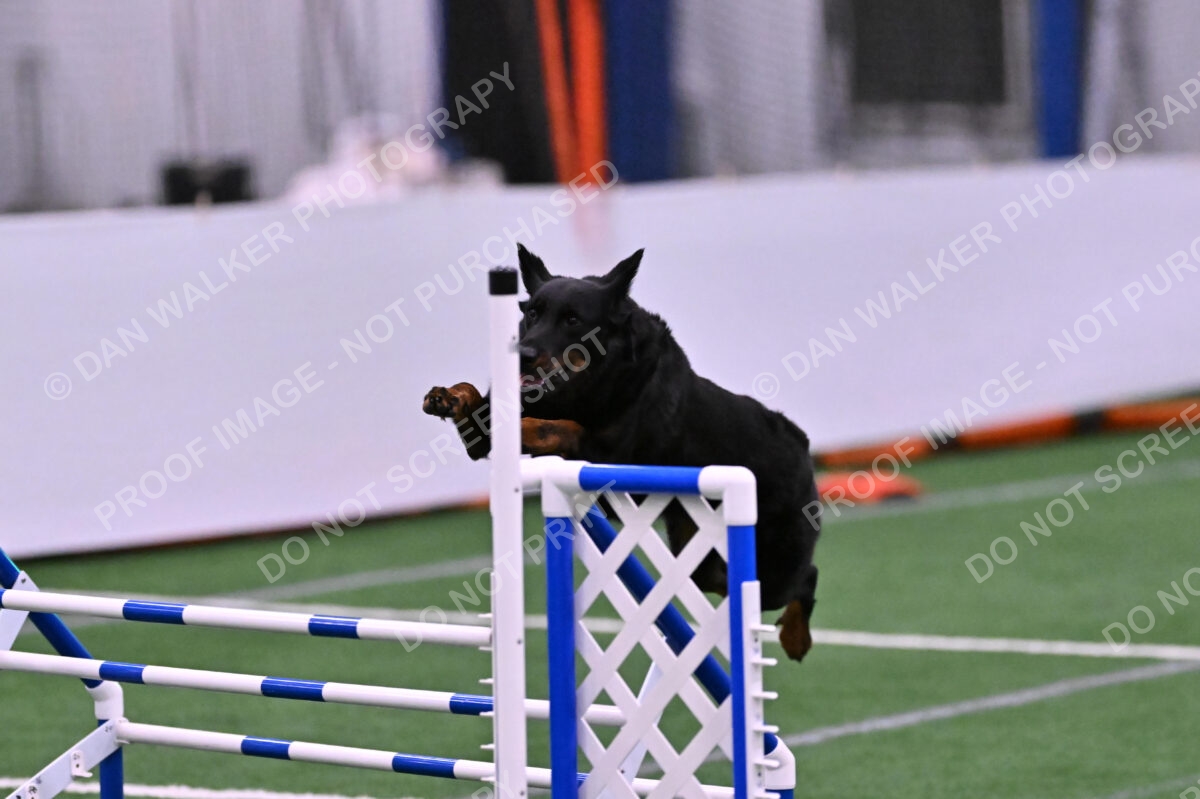 Sirsee-Janice-Bourell-Casey-05620