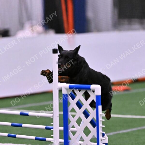 Sirsee-Janice-Bourell-Casey-05620