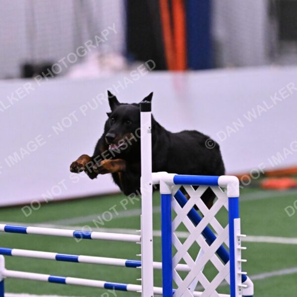 Sirsee-Janice-Bourell-Casey-05621