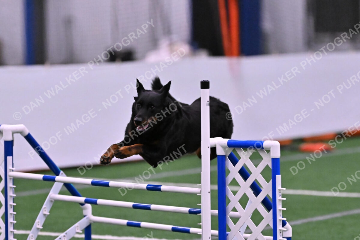 Sirsee-Janice-Bourell-Casey-05622