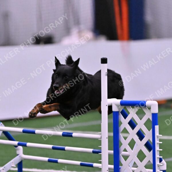 Sirsee-Janice-Bourell-Casey-05622