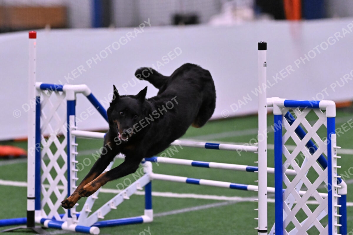 Sirsee-Janice-Bourell-Casey-05624