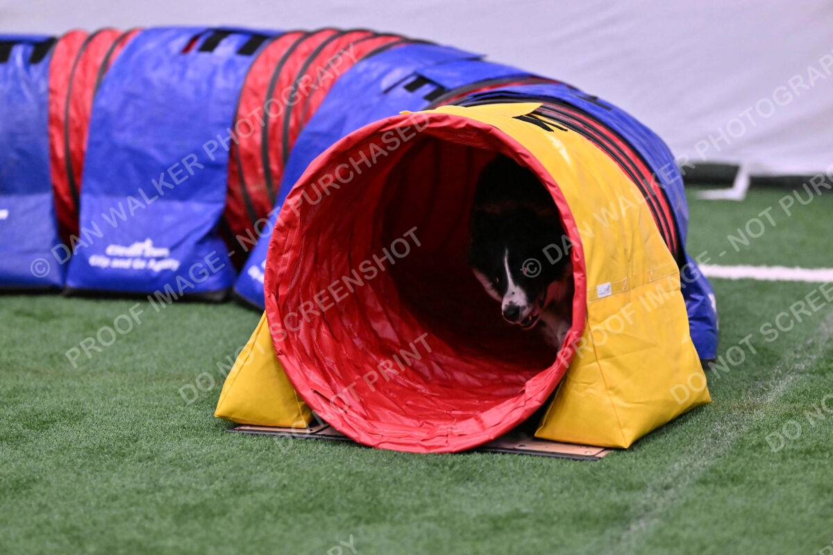 Skylar-Nanette-Jarrett-03052