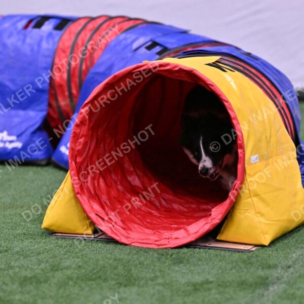 Skylar-Nanette-Jarrett-03052