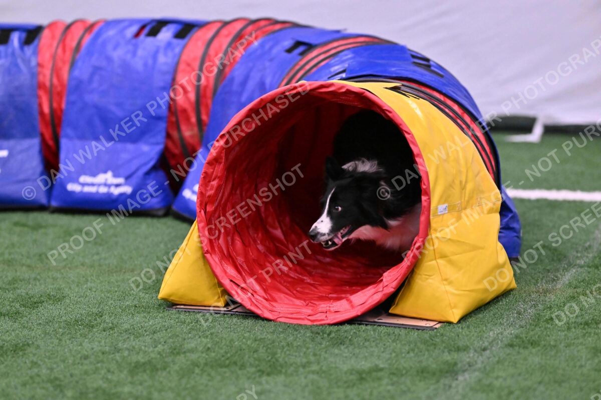 Skylar-Nanette-Jarrett-03053