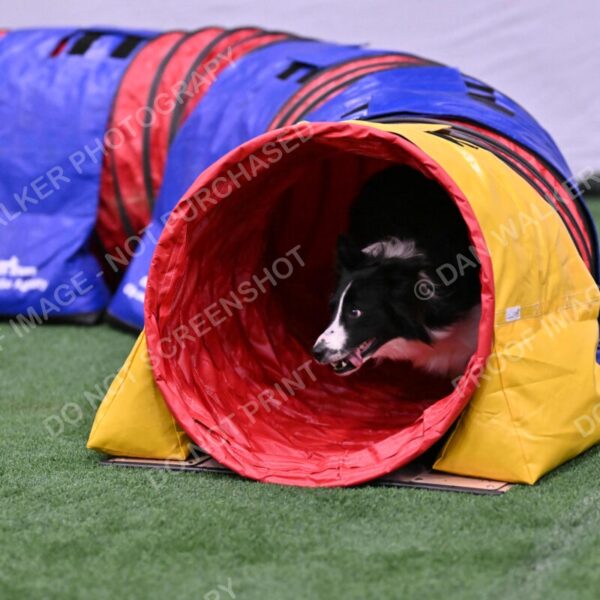 Skylar-Nanette-Jarrett-03053