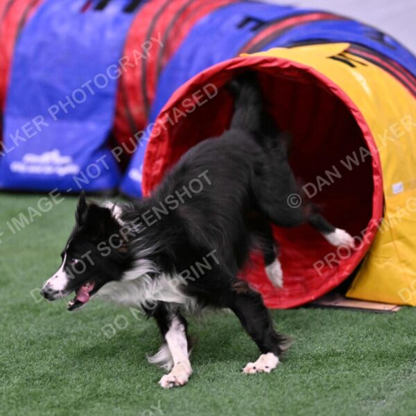 Skylar-Nanette-Jarrett-03056