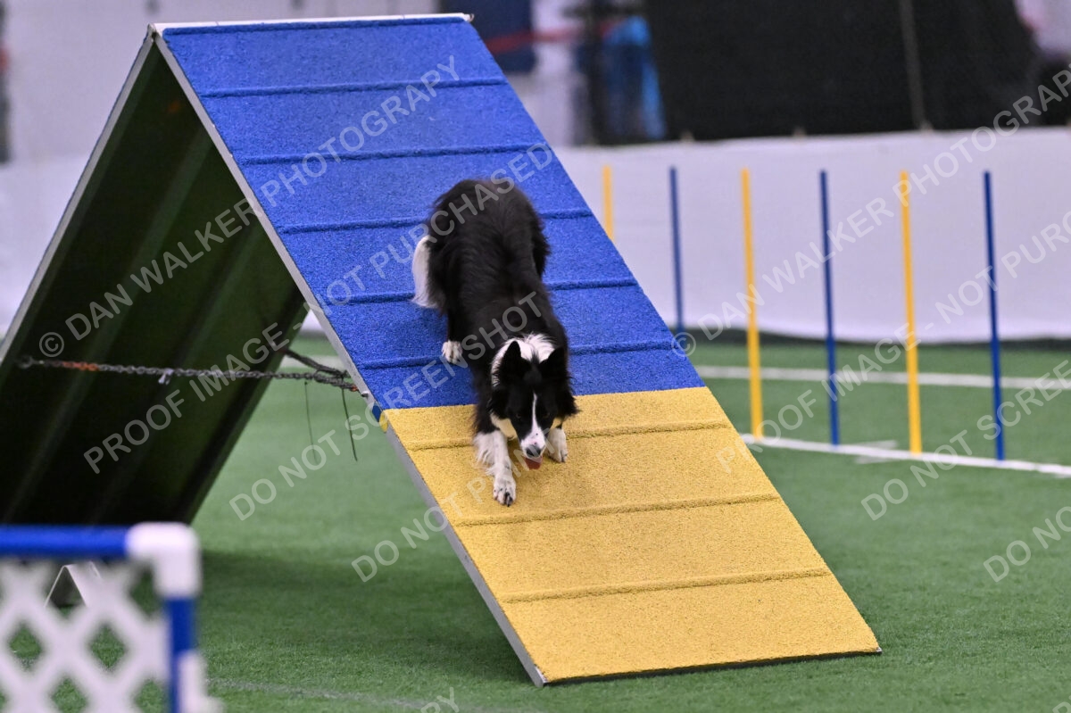 Skylar-Nanette-Jarrett-03059