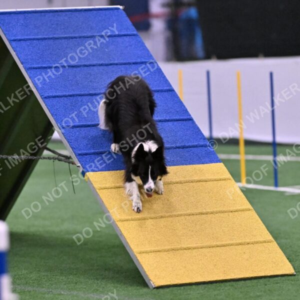 Skylar-Nanette-Jarrett-03059