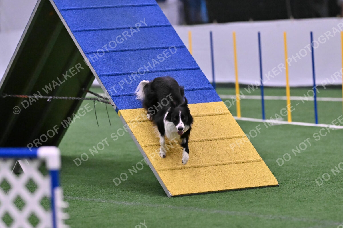 Skylar-Nanette-Jarrett-03061