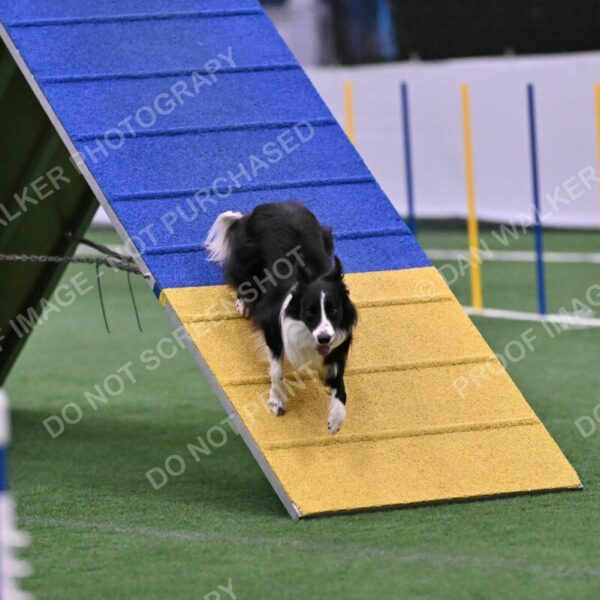 Skylar-Nanette-Jarrett-03061