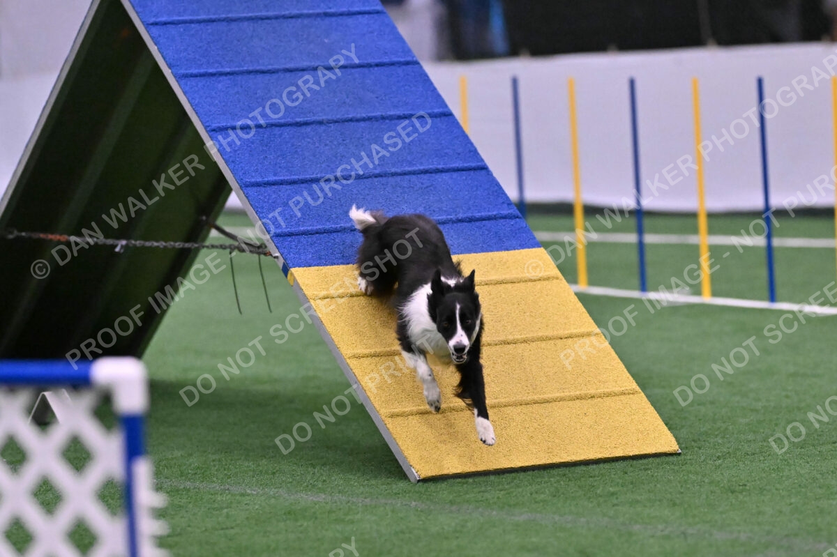 Skylar-Nanette-Jarrett-03062