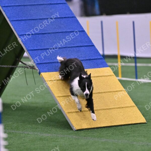 Skylar-Nanette-Jarrett-03062