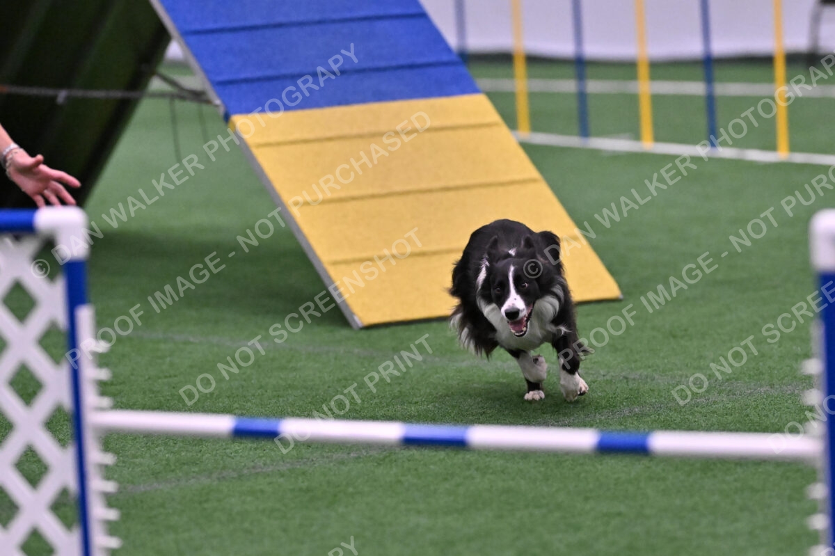 Skylar-Nanette-Jarrett-03063