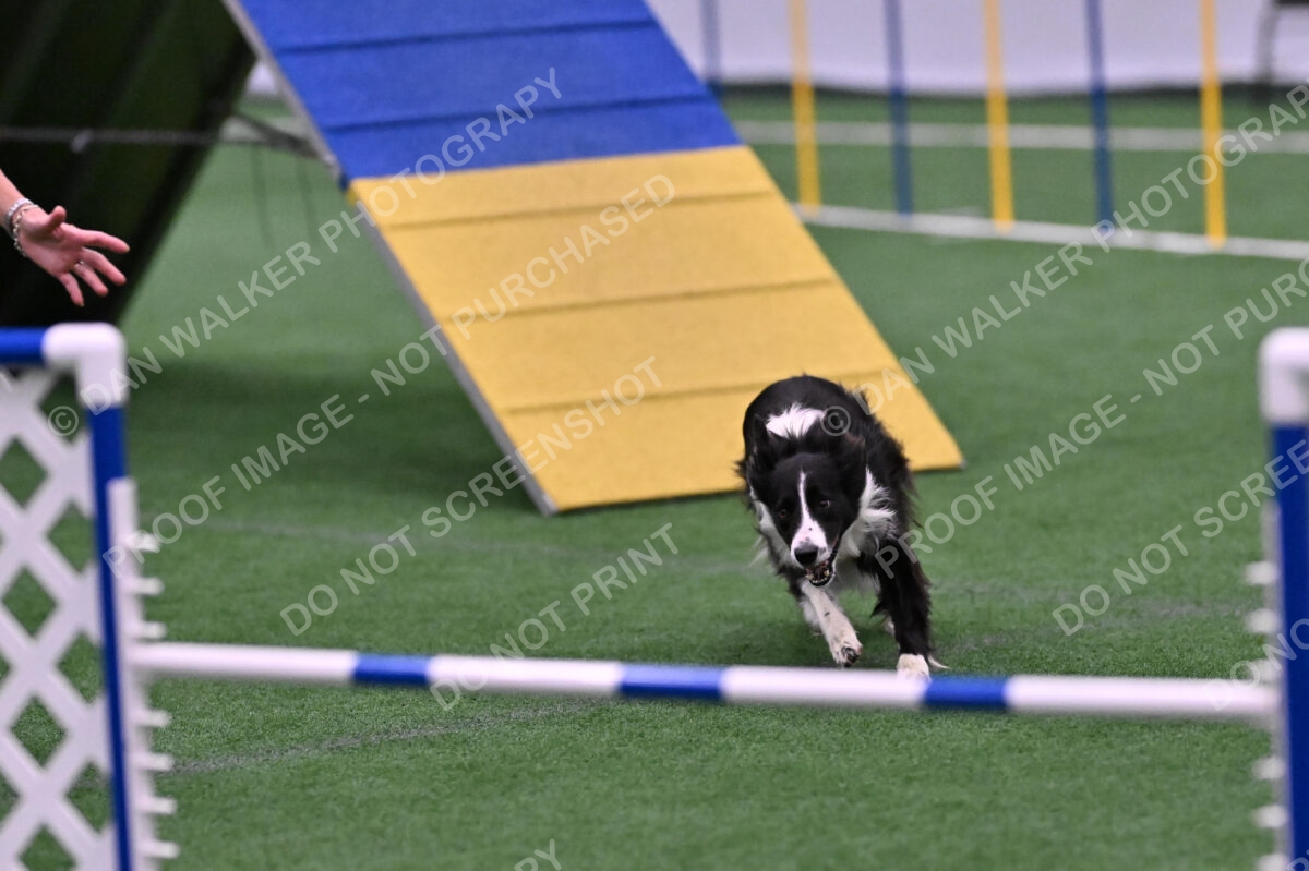 Skylar-Nanette-Jarrett-03064