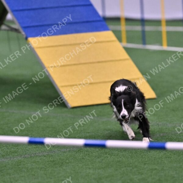 Skylar-Nanette-Jarrett-03064