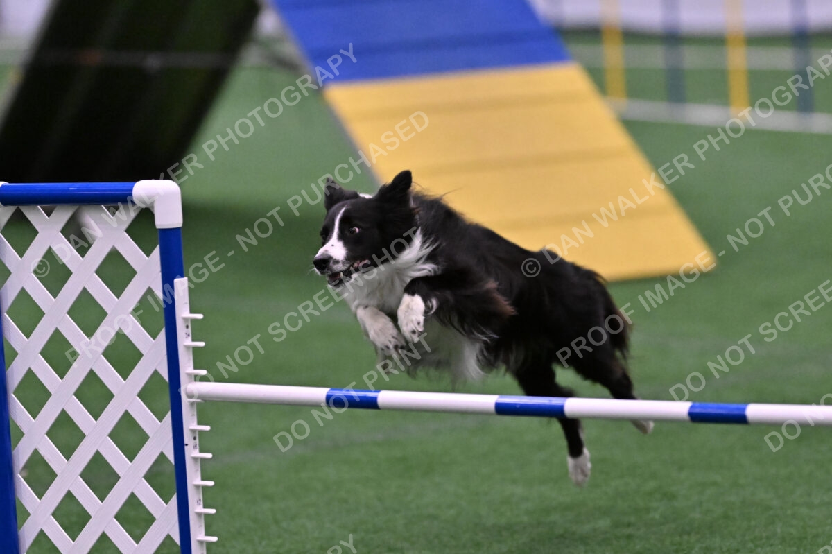 Skylar-Nanette-Jarrett-03070