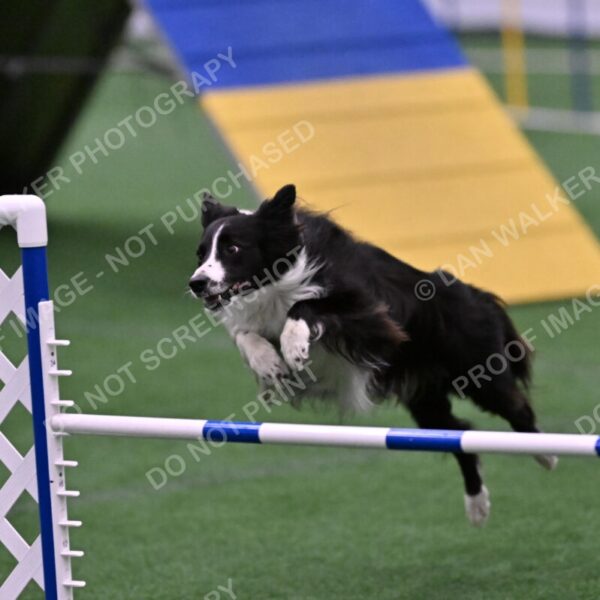 Skylar-Nanette-Jarrett-03070