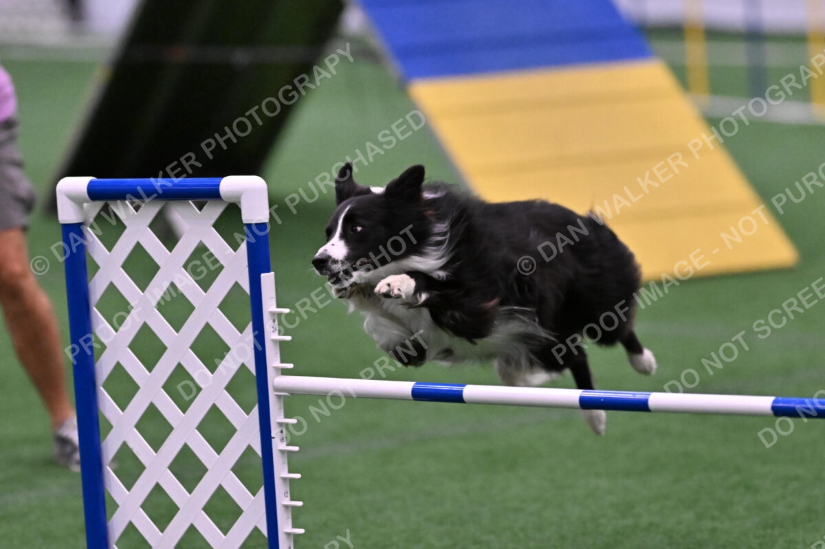 Skylar-Nanette-Jarrett-03071